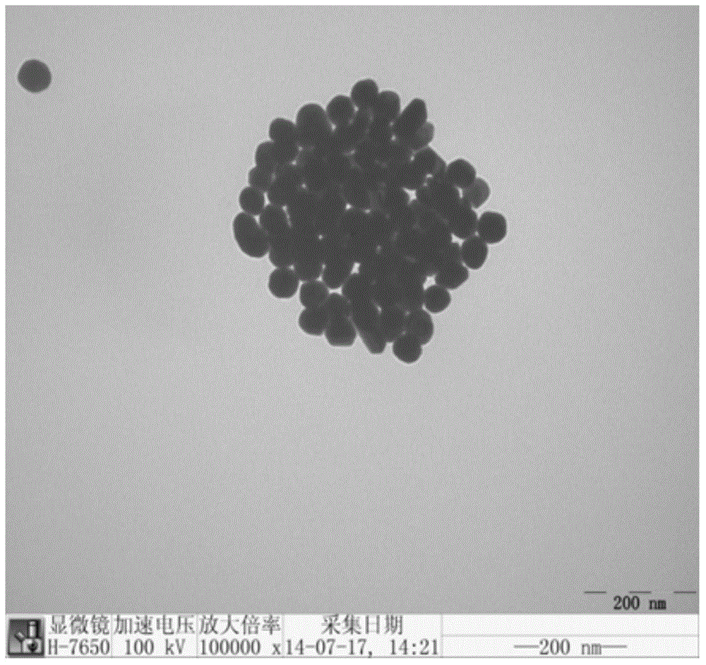 Crystal seed growth method for preparing gold nano-particles