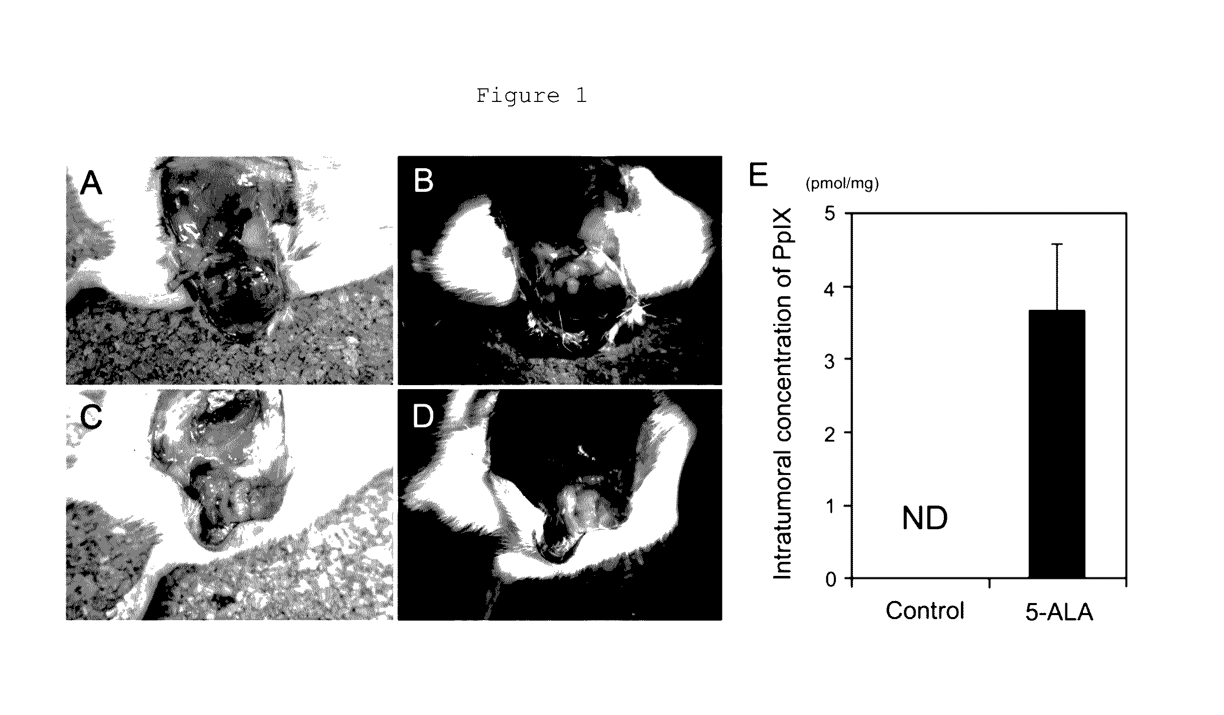 Composition for inducing tumor immunity