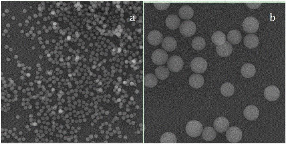 Preparation method for poly(melamine-formaldehyde) polymeric microsphere three-dimensional template material