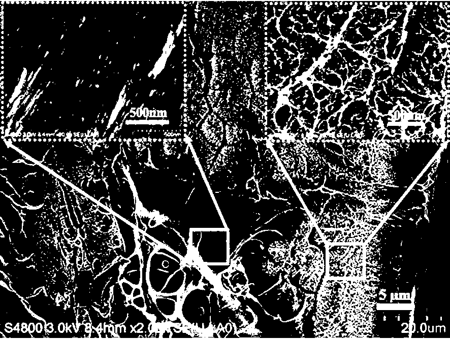 Silk fibroin membrane and preparation method thereof