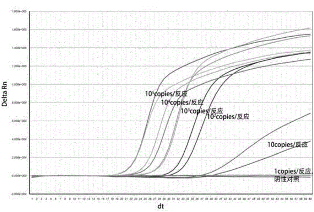 Nuclei acid detection kit for RNA isothermal amplification avian influenza virus H7N9 (2013)