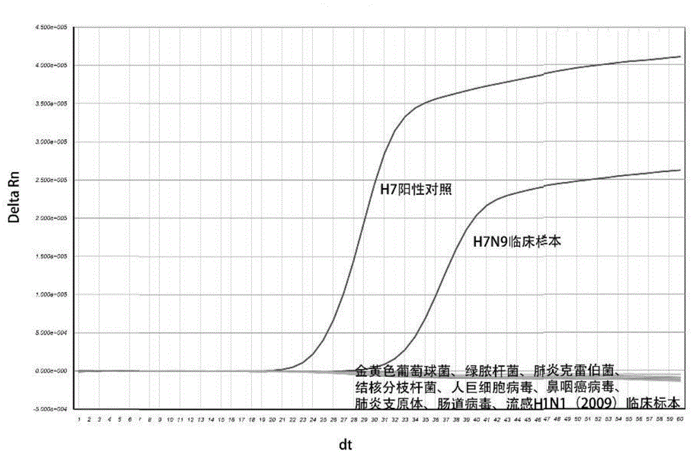 Nuclei acid detection kit for RNA isothermal amplification avian influenza virus H7N9 (2013)