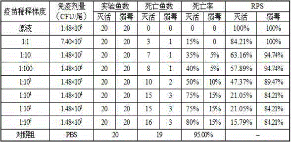 Tilapia mossambica source streptococcus agalactiae low virulent strain and application thereof