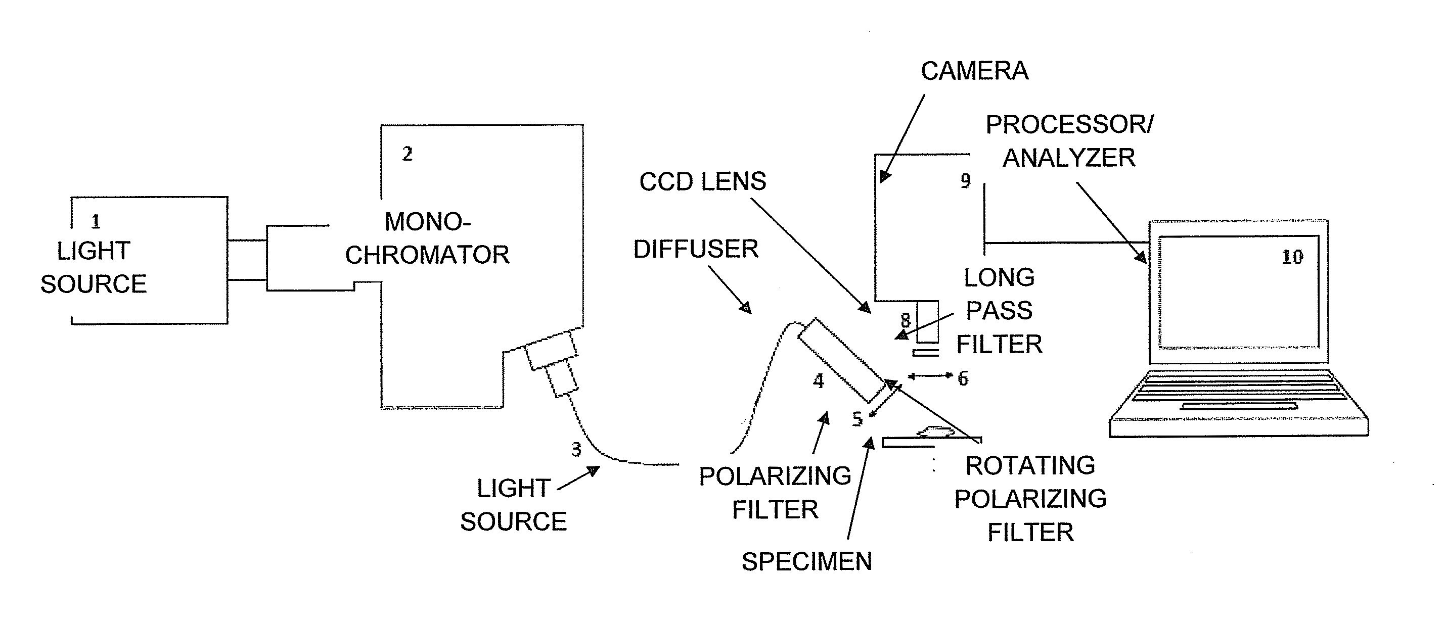 Method and apparatus for multimodal imaging of biological tissue