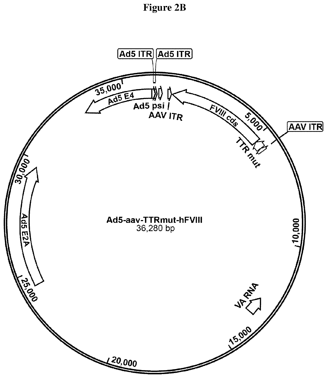 Plasmid free aav vector producing cell lines