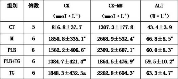 Application of Phellinus and tripterygium glycosides in delaying the process of focal segmental glomerulosclerosis