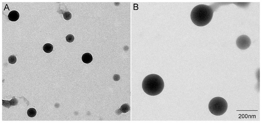 An intelligent drug delivery system regulated by neutrophil extracellular traps in tumor microenvironment and preparation method thereof