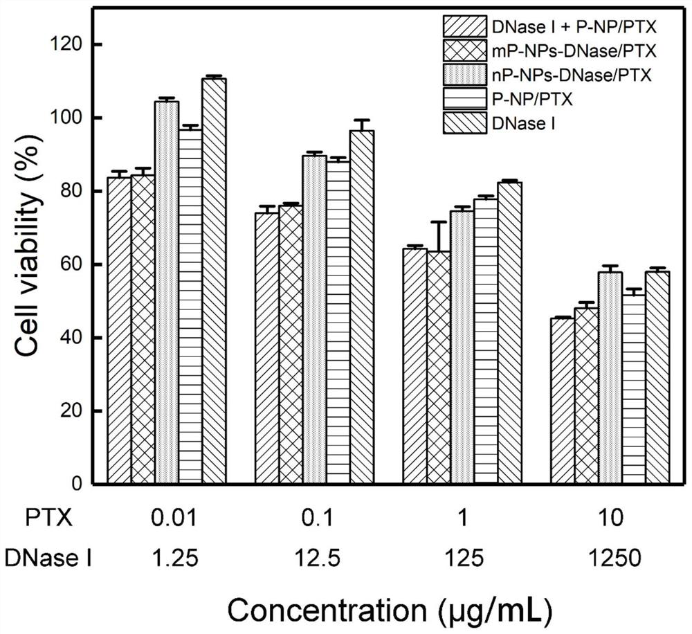 An intelligent drug delivery system regulated by neutrophil extracellular traps in tumor microenvironment and preparation method thereof