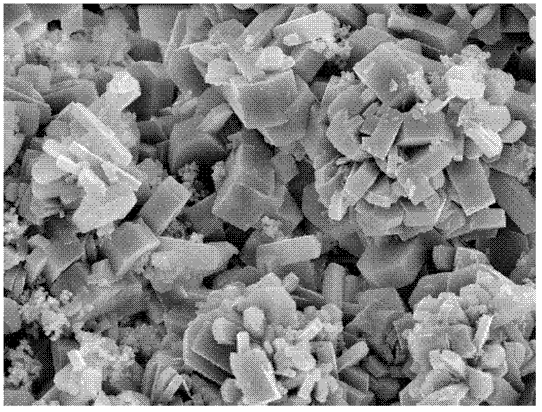 Metal element modified ZSM-5 molecular sieve composite membrane as well as preparation method and application thereof