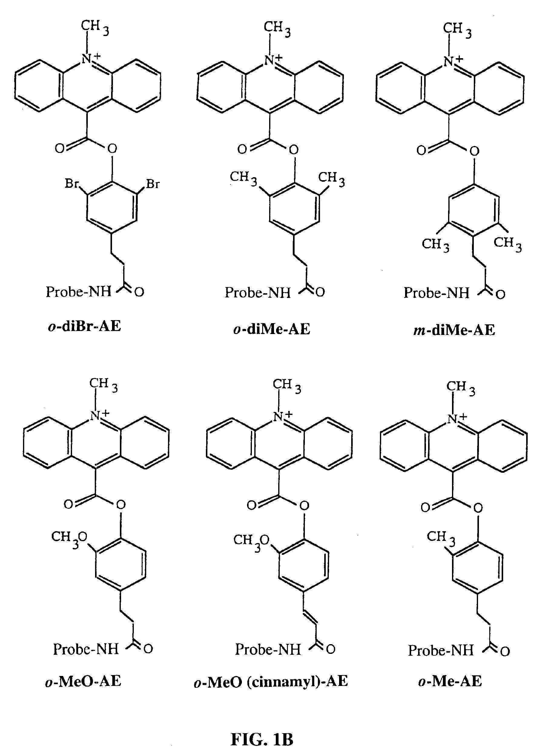 Method for determining the presence of an RNA analyte in a sample using a modified oligonucleotide probe