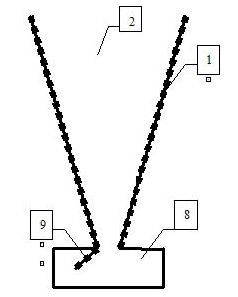 Method and device for capturing water bloom cyanophytes by using trap