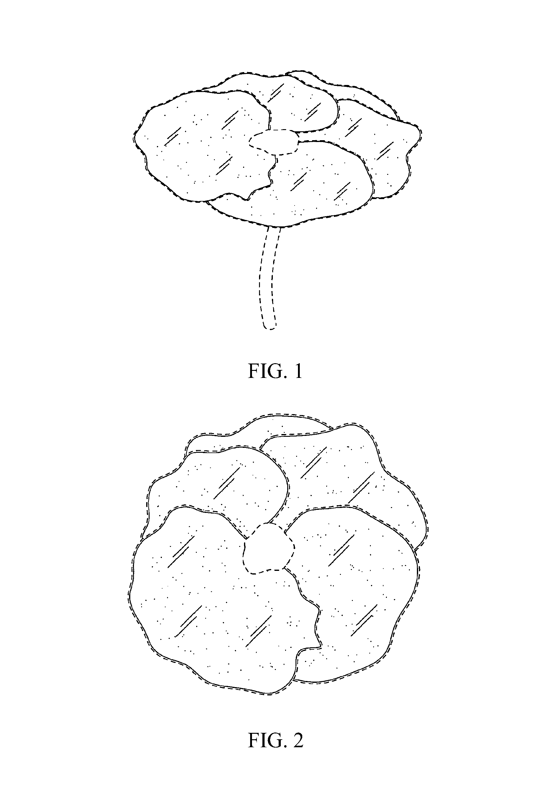 Non-perishable plant-derived decorative items and methods for making same