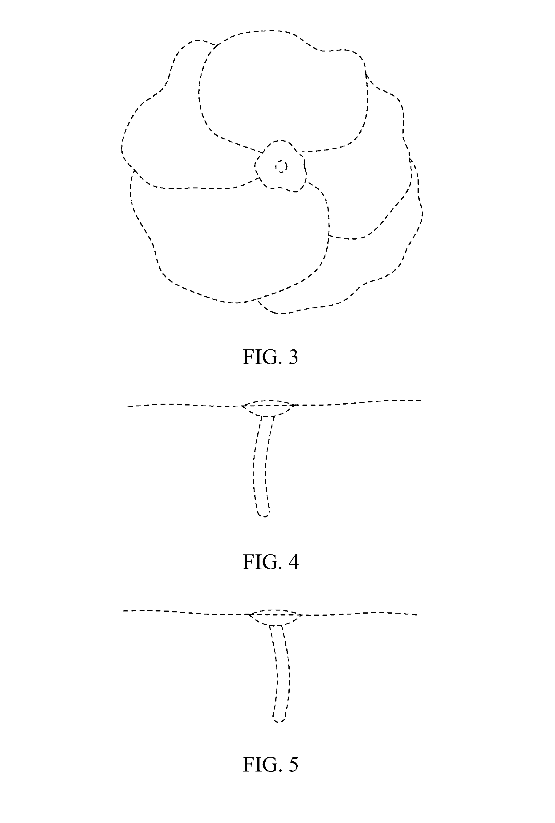 Non-perishable plant-derived decorative items and methods for making same