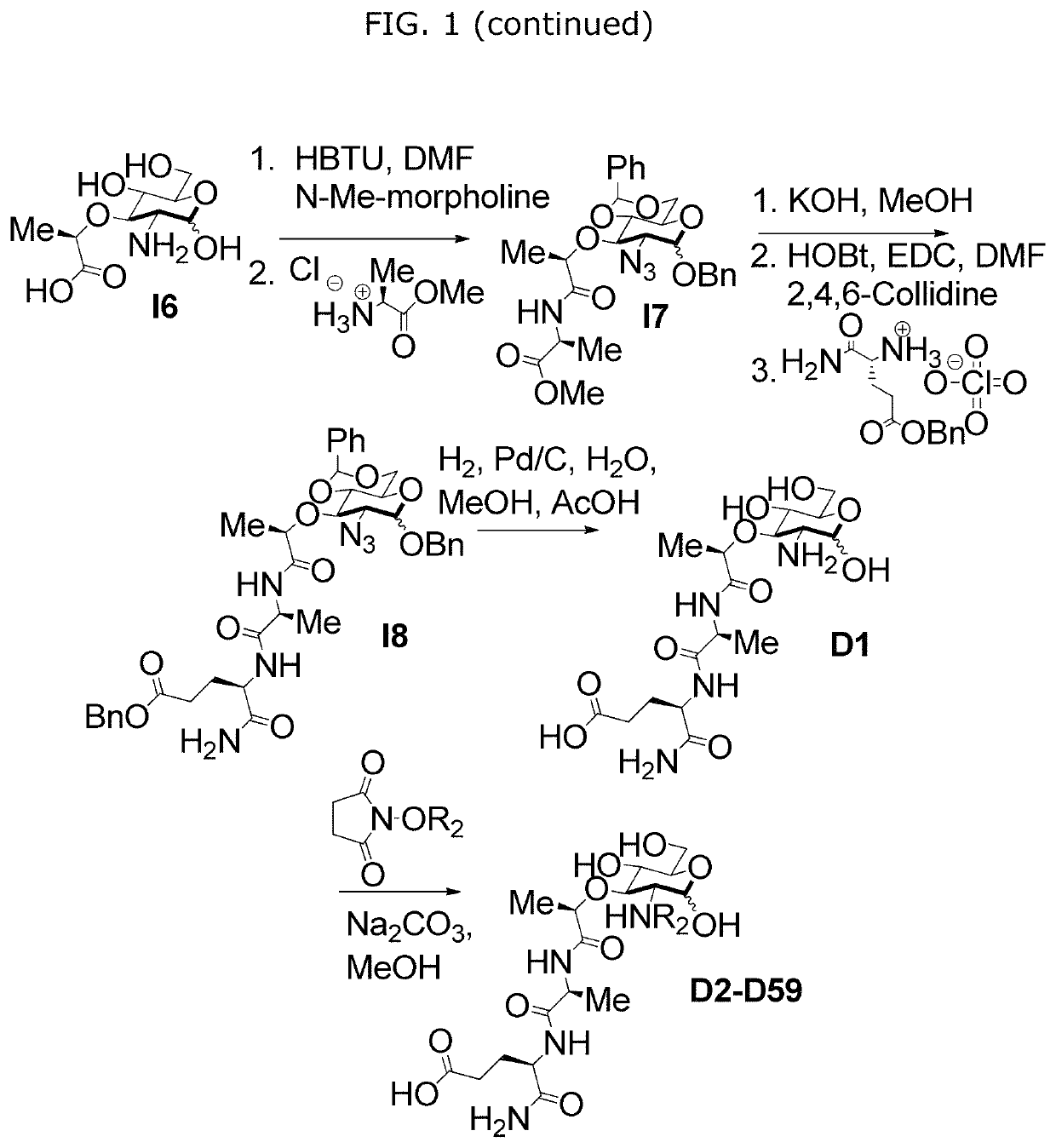 Synthetic N-acetyl-muramic acid derivatives and uses thereof