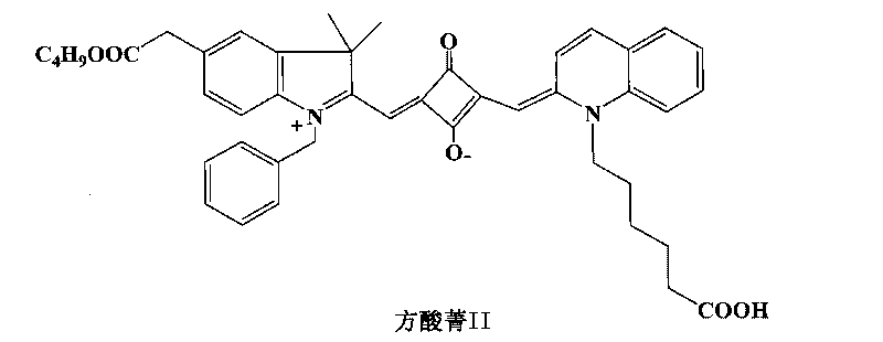 Preparation of squaraine dye-sensitized nanocrystalline film electrode