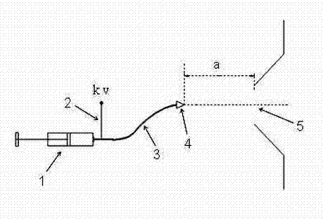 Extractive electrospray ionization mass spectrometry method for inside of tissue sample