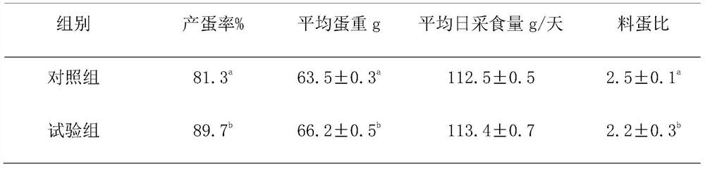 Application of pharmaceutical composition in preparation of medicine for preventing and treating Salmonella infection in laying hens