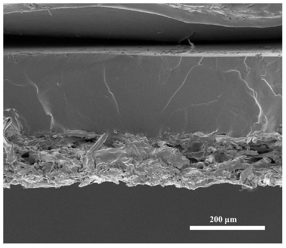 Efficient and stable novel photo-thermal water evaporation material with self-cleaning function and preparation method thereof