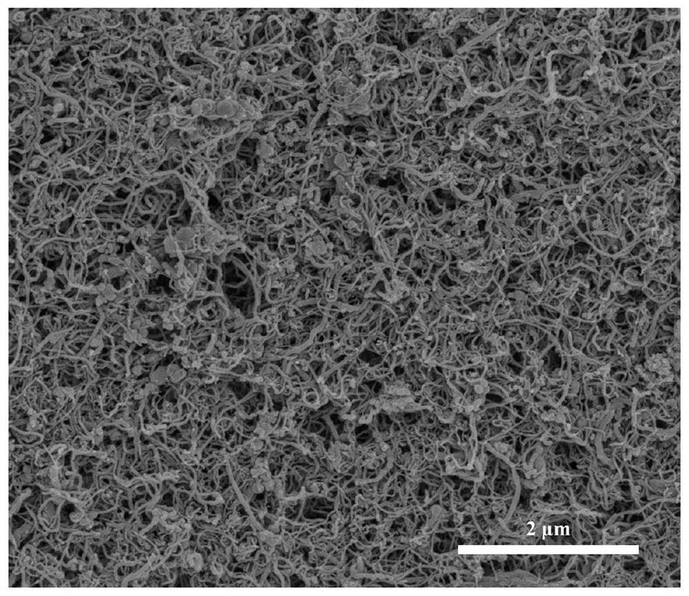 Efficient and stable novel photo-thermal water evaporation material with self-cleaning function and preparation method thereof