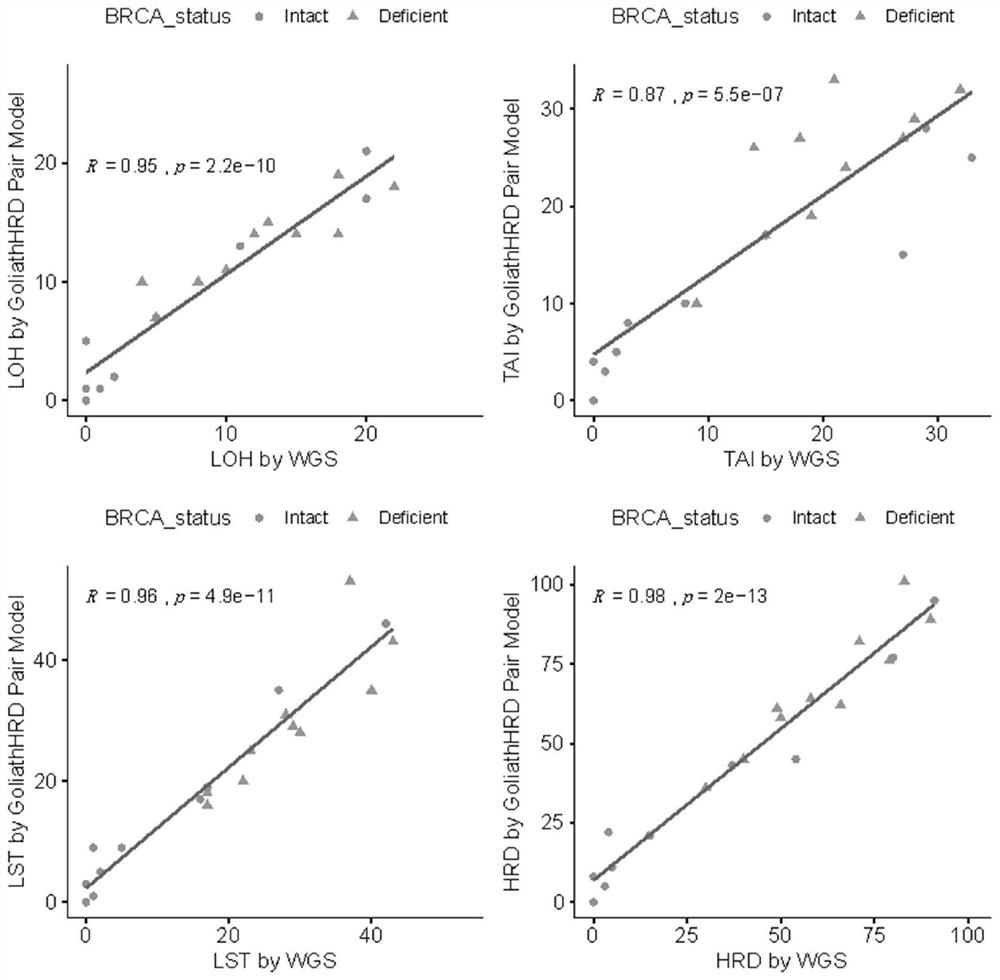 Marker, detection method and detection system for homologous recombination deletion