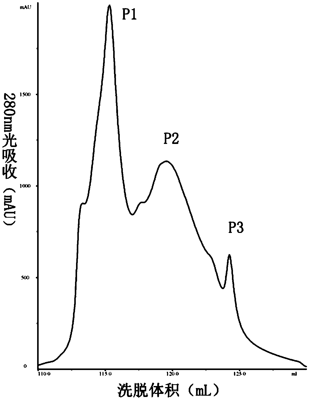 A novel function of a Bacillus subtilis GGT protein degradation product and antimicrobial peptide identification for the product