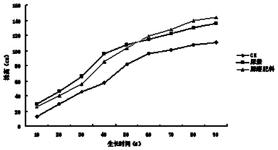 A process for producing urea-formaldehyde slow-release fertilizer and co-production of alginic acid liquid fertilizer