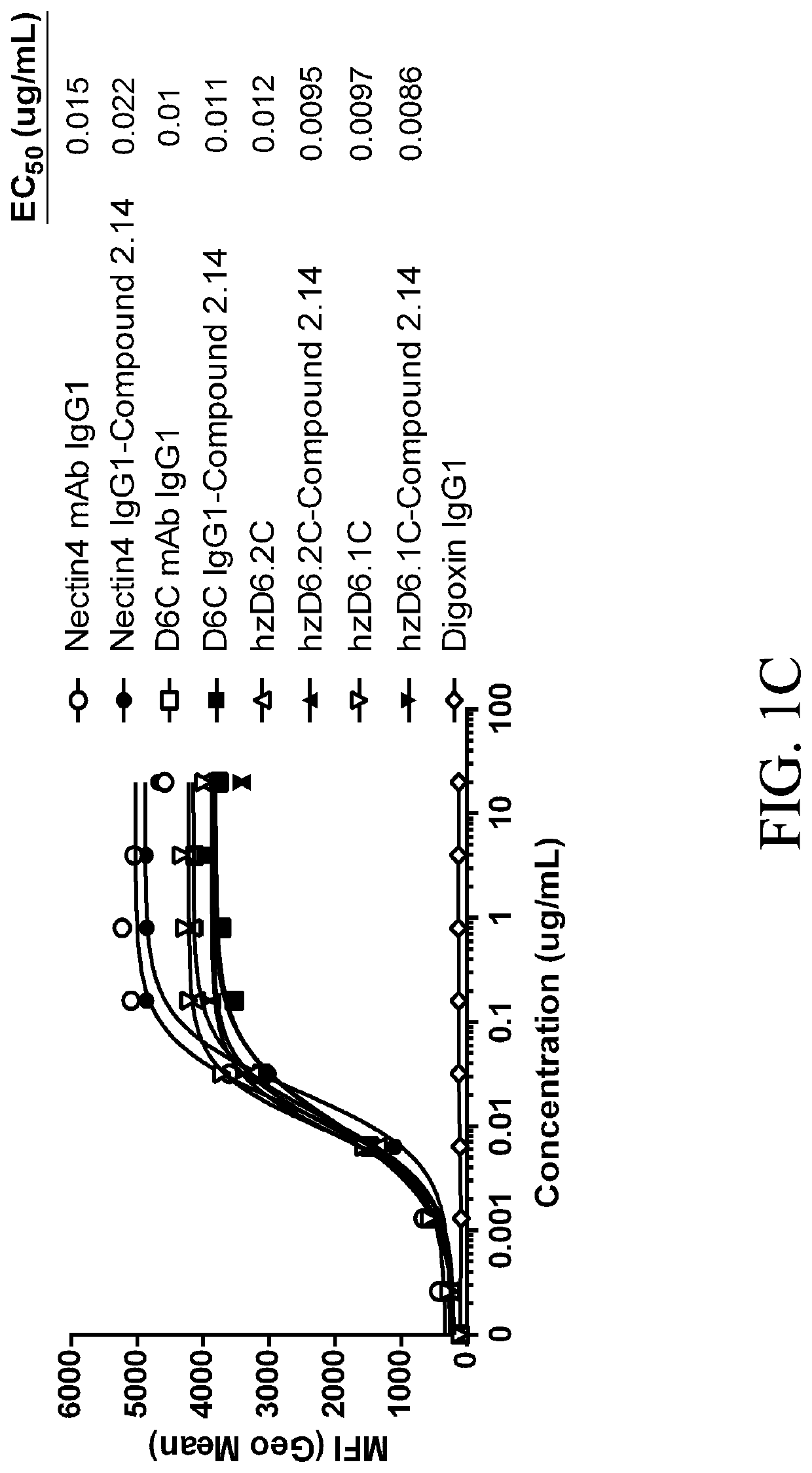 Nectin-4 antibody conjugates and uses thereof