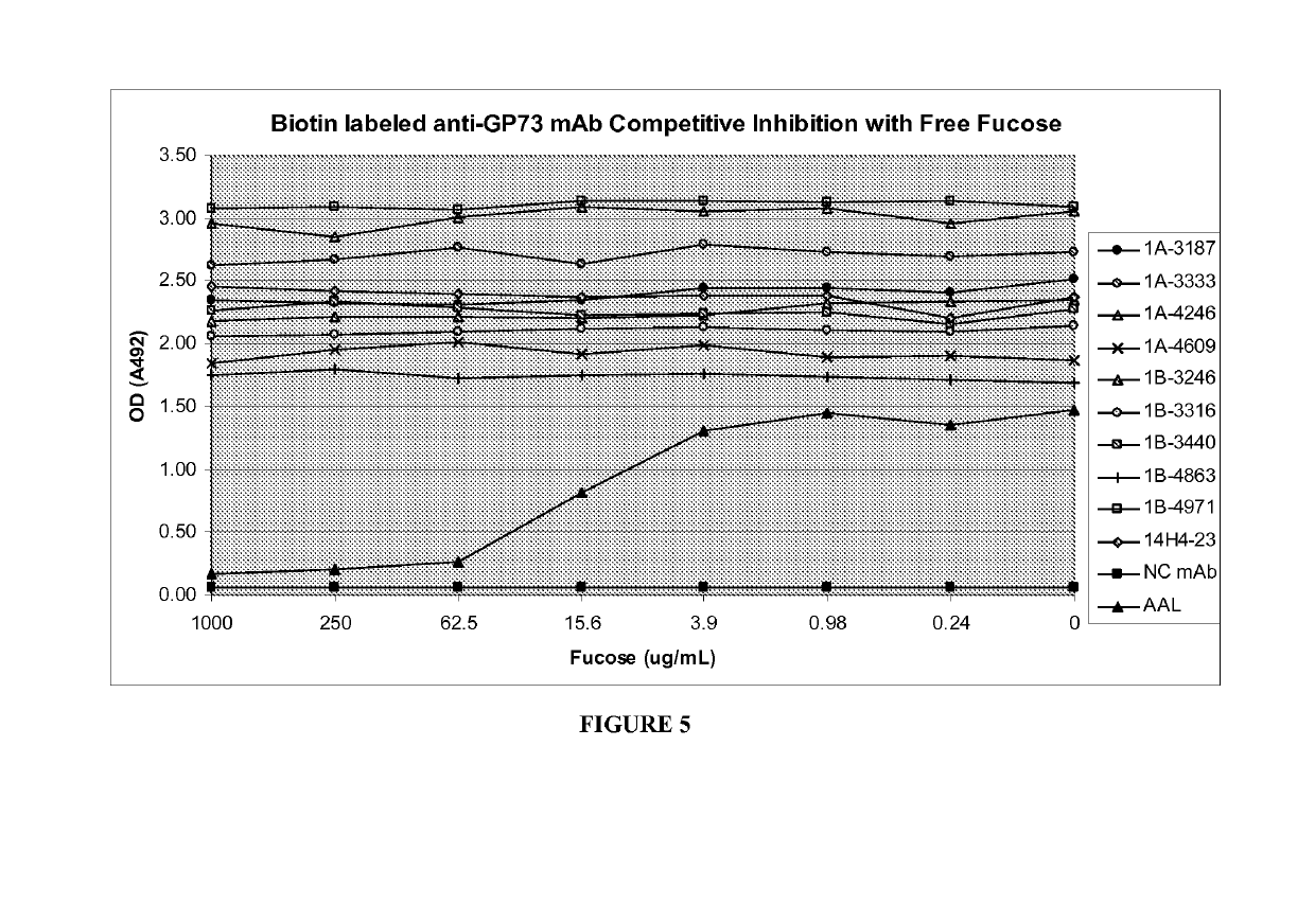 Anti-GP73 monoclonal antibodies and methods of obtaining the same