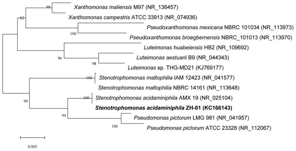 A kind of degrading bacterial strain of pyrethroid insecticide and its application