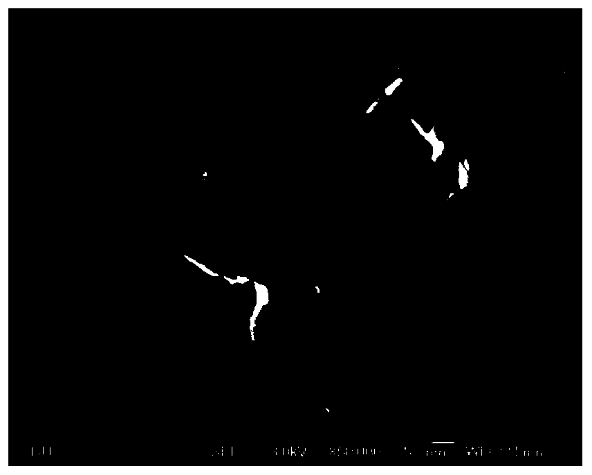 A kind of preparation method and application of calcium phosphate/gelatin composite nanoparticle