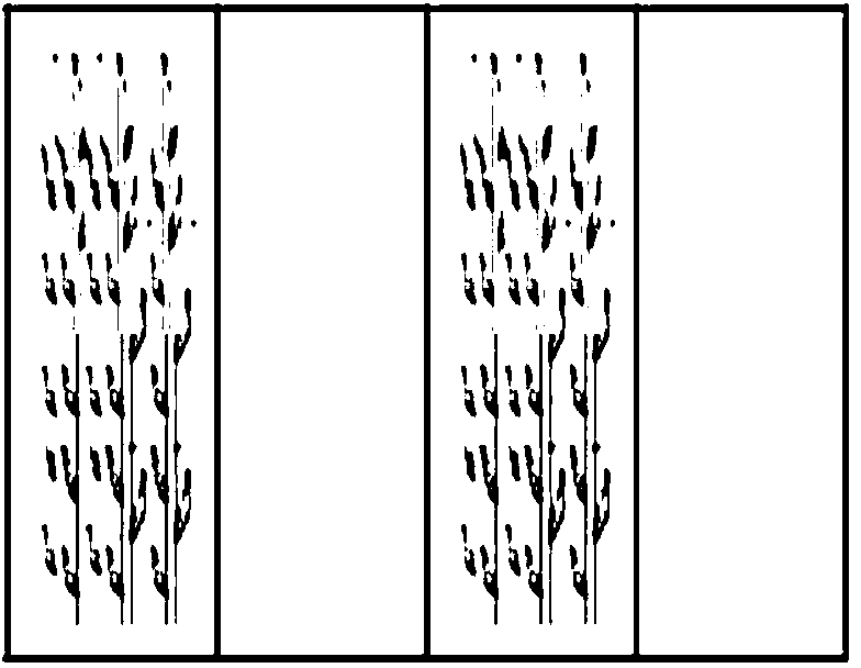 Method for preserving soil moisture for dry field through maize straw mulching