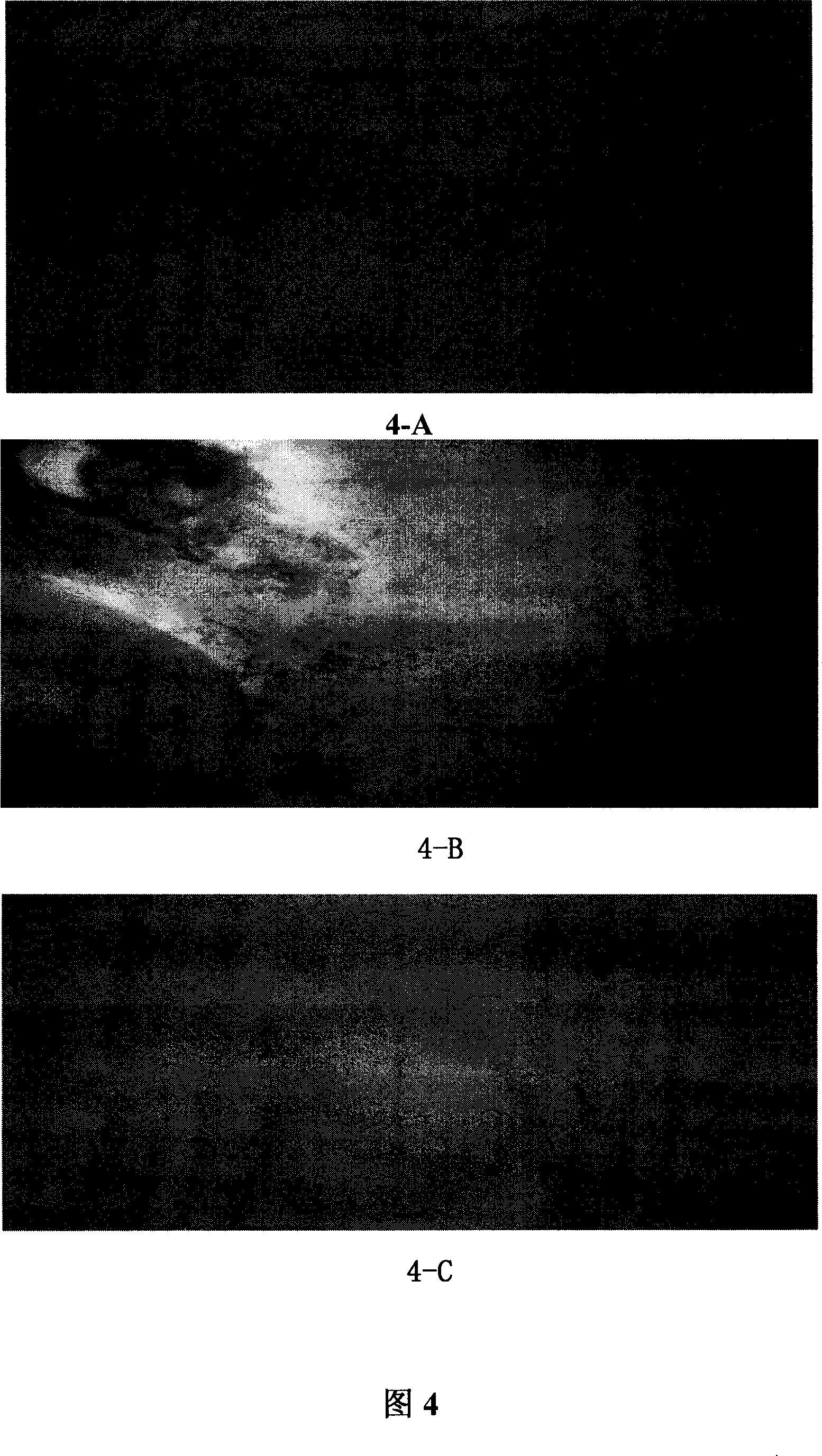 Asarone submicron emulsion and its preparation method