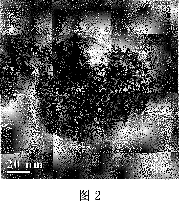 Organic inorganic composite polymer electrolyte and preparation method and application thereof