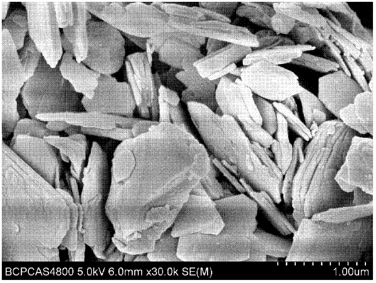 Dissociation method of coal-series hard kaolinite rock lamella