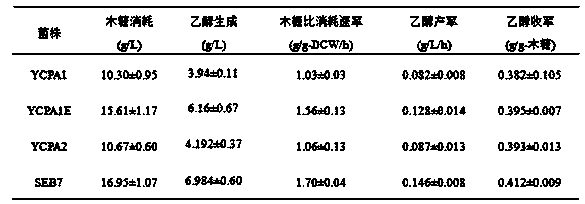 Saccharomyces cerevisiae strain for expressing xylose isomerase and construction method