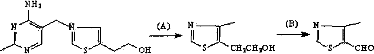 Preparation method of 4-methylthiazolaldehyde-5