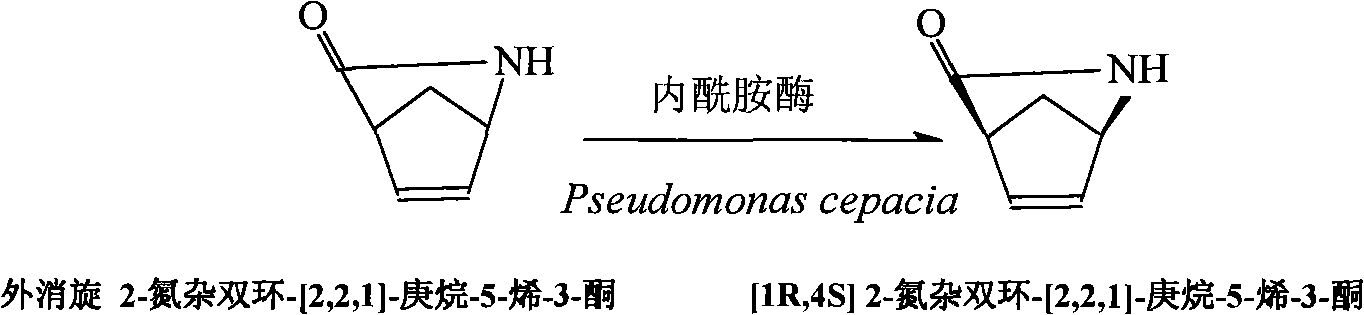 Method for preparing abacavir chiral intermediate by biological split