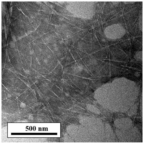 Anisotropic nano-cellulose aerogel and preparation method and device thereof