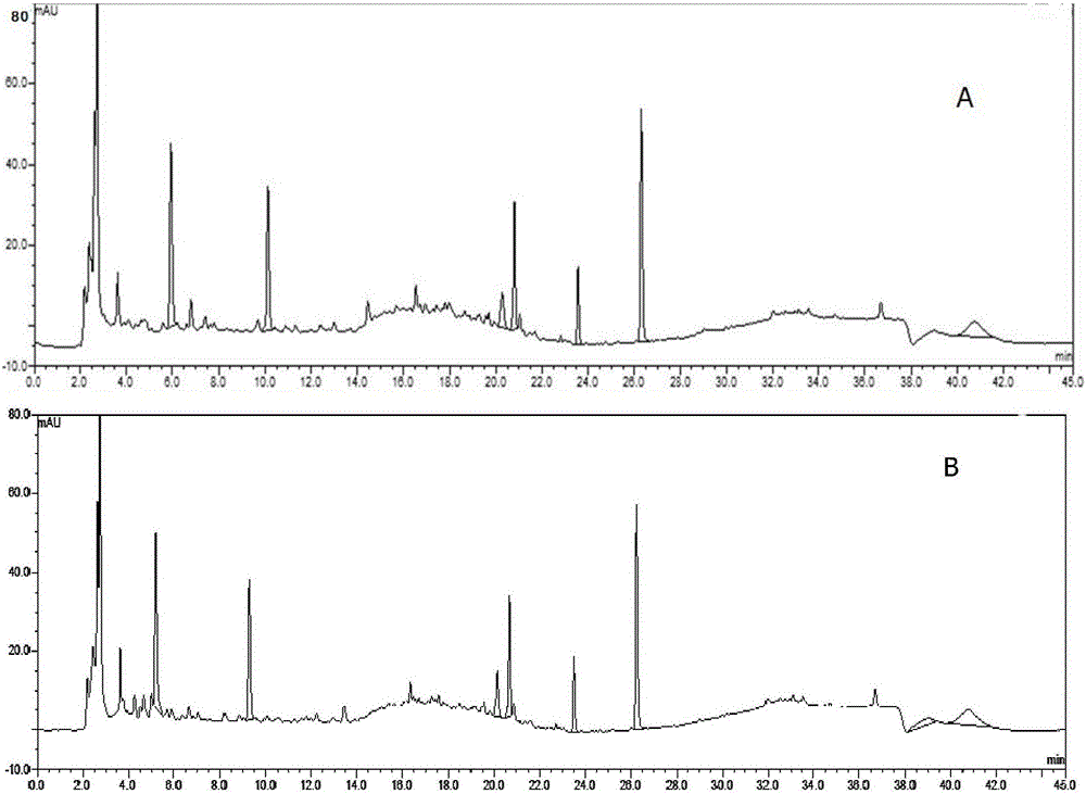 Method for establishing radix-scrophulariae pharmaceutical-preparation fingerprint chromatography