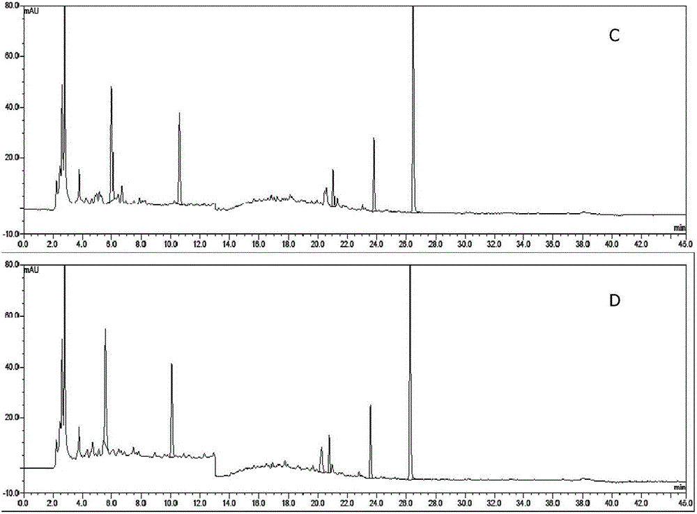 Method for establishing radix-scrophulariae pharmaceutical-preparation fingerprint chromatography