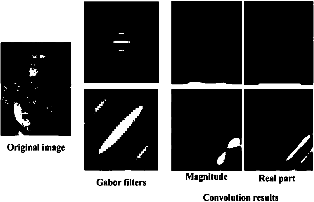 Single-sample face recognition method based on Gabor feature extraction and spatial transformation