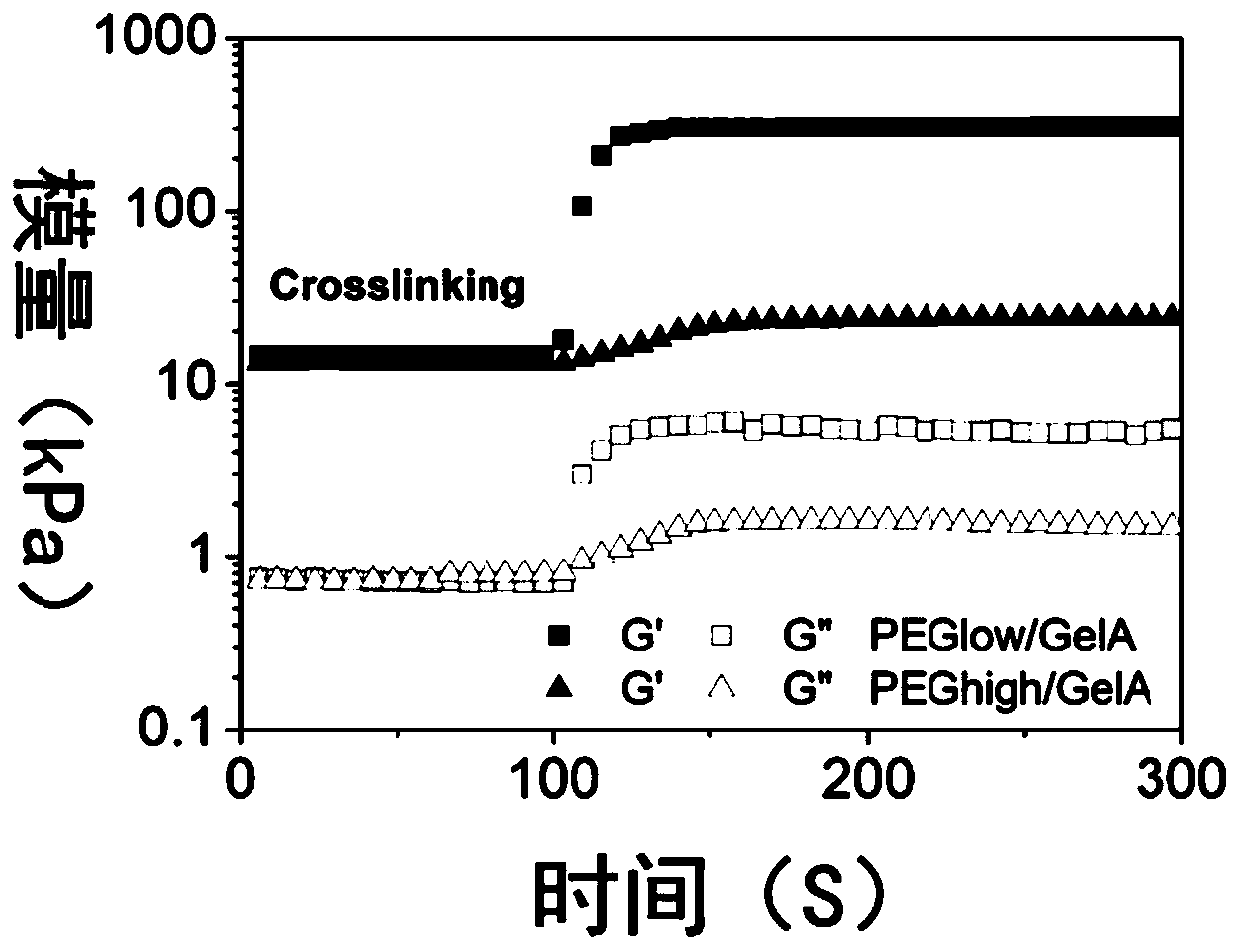 Double-network hydrogel based on polyethylene glycol/gelatin particles and preparation method and application thereof