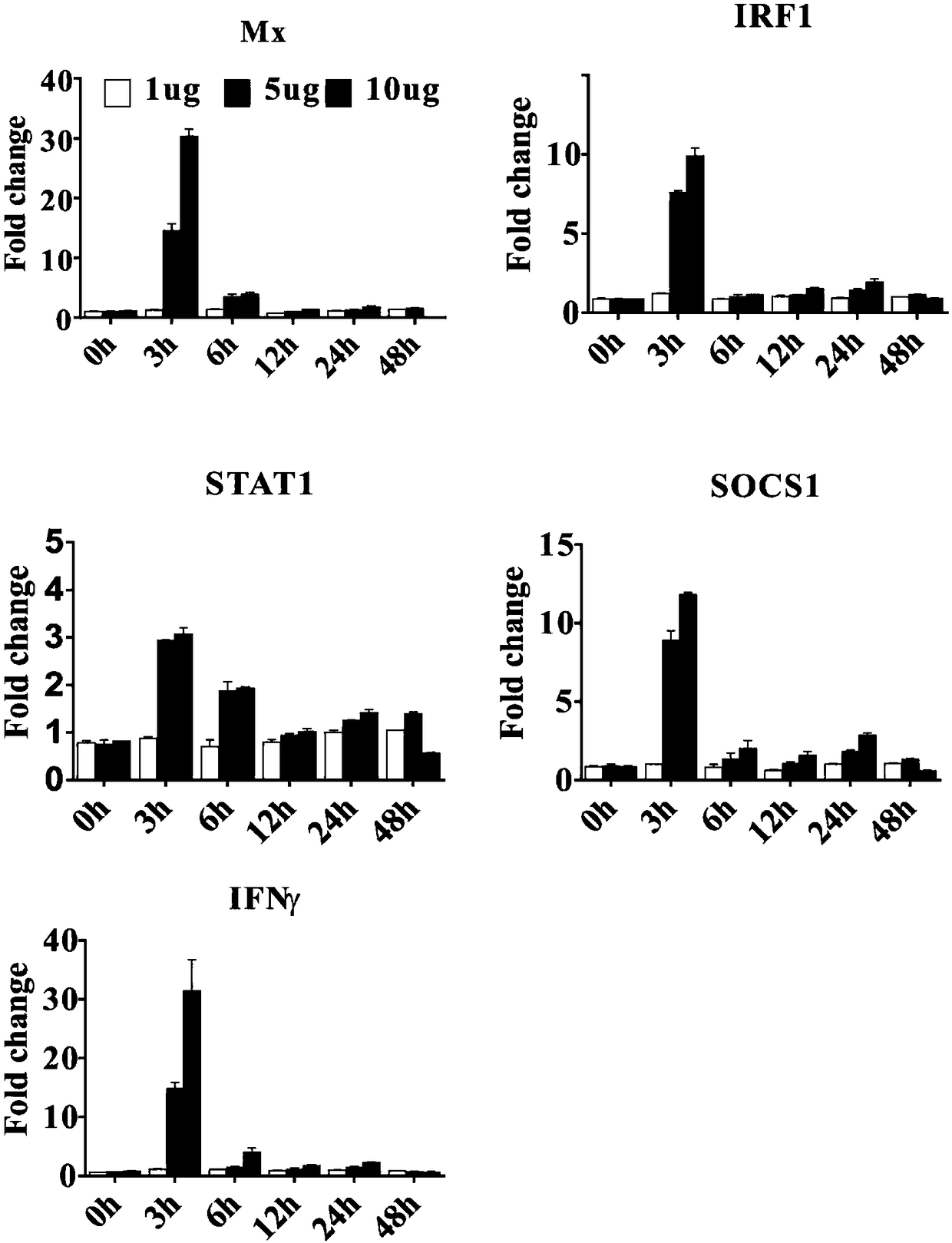 Mandarin fish gamma interferon relevant factor as well as recombinant protein and application thereof