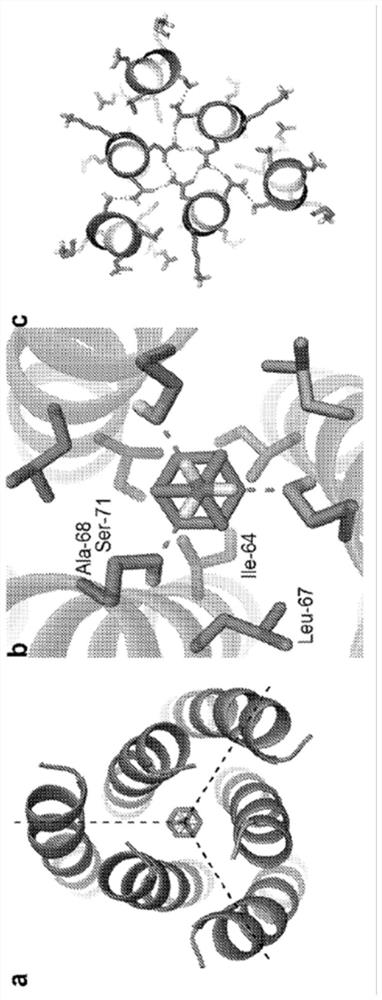 Amantadine binding protein