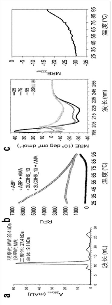 Amantadine binding protein