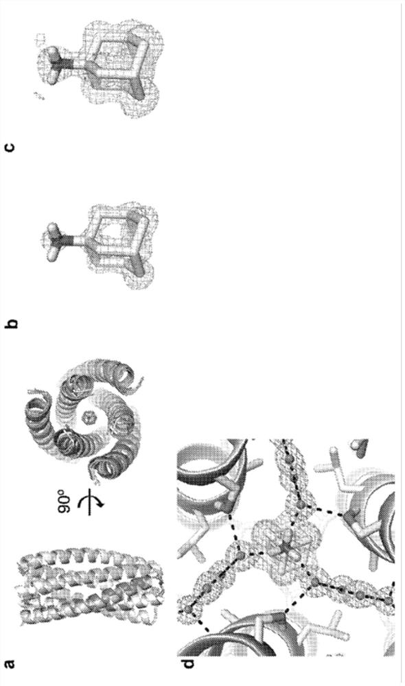 Amantadine binding protein