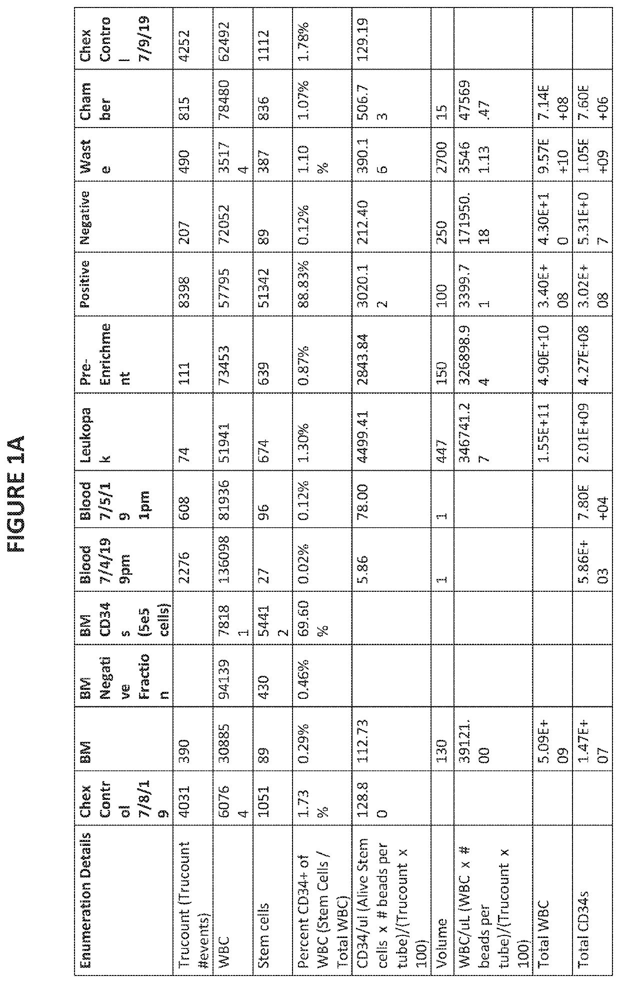 Mobilization and collection of peripheral blood hematopoietic stem cells from deceased donors