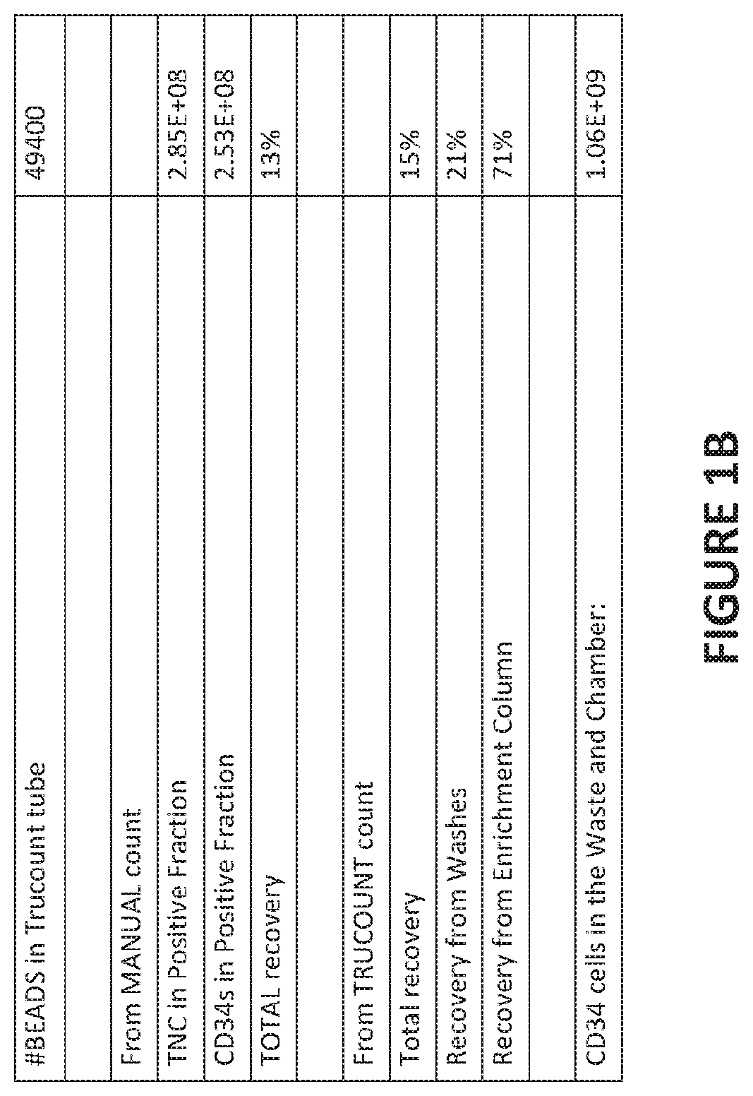 Mobilization and collection of peripheral blood hematopoietic stem cells from deceased donors