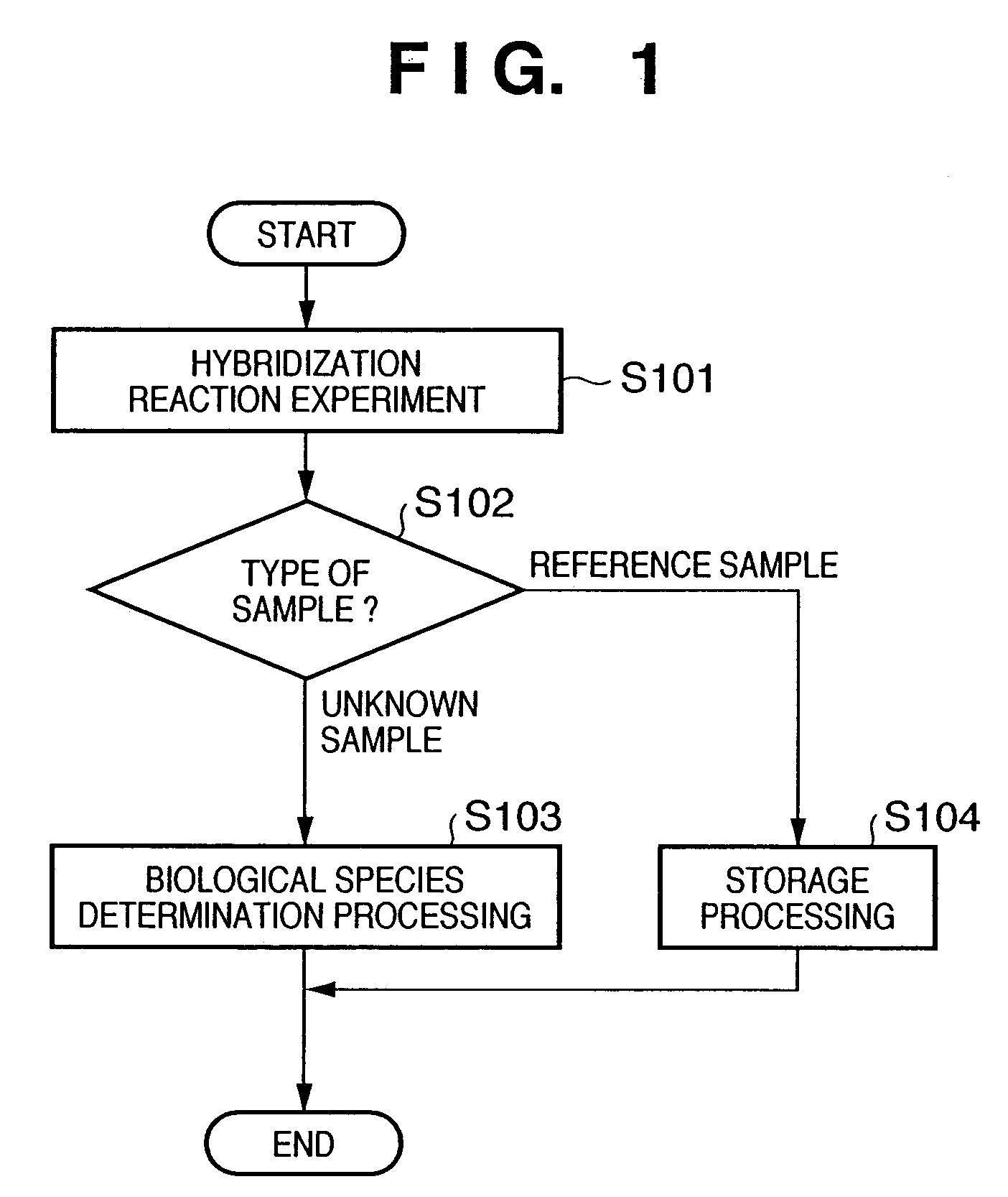 Information processing apparatus, information processing method, storage medium and program