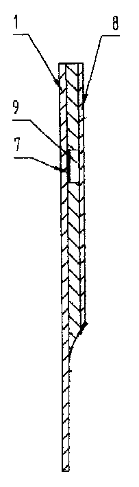 Test strip for testing biochemical matter in blood and its producing method